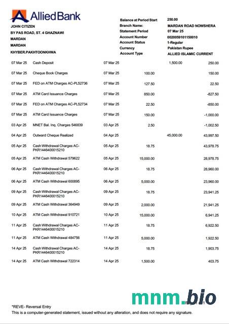 Pakistan UBL wyciąg bankowy szablon Worda i PDF